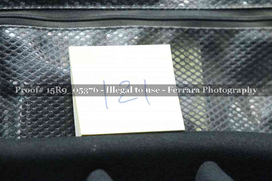 Proof 15R9_05376