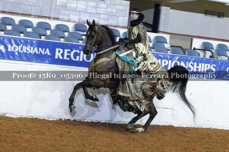 Proof 15R9_05396
