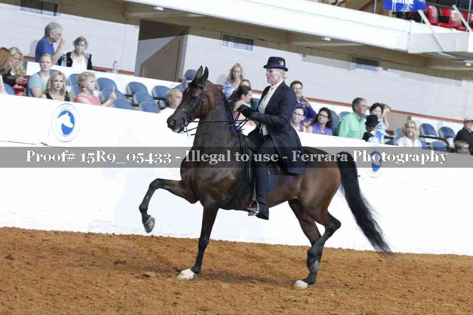 Proof 15R9_05433
