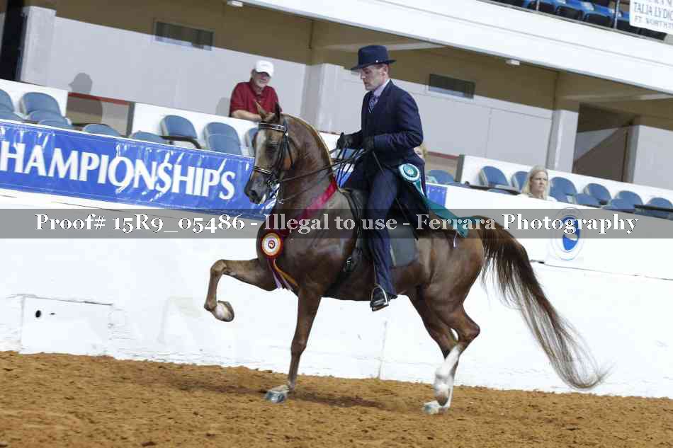 Proof 15R9_05486