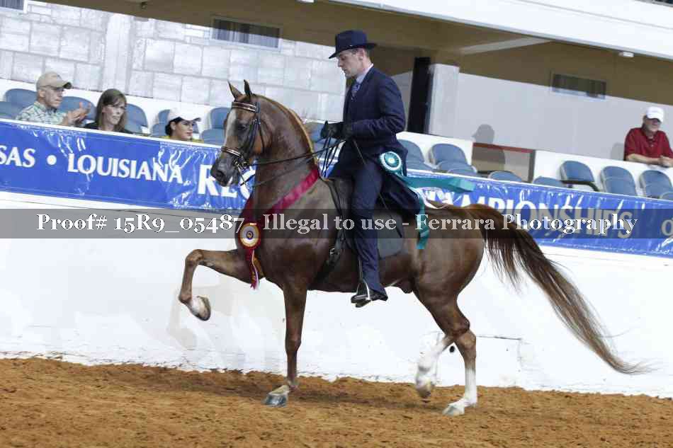 Proof 15R9_05487