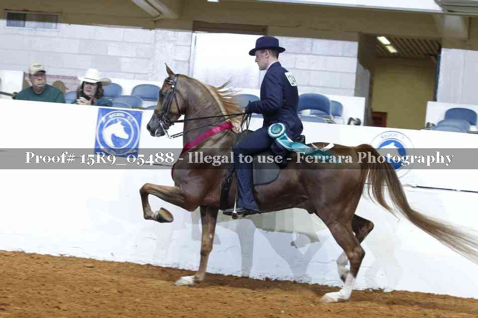 Proof 15R9_05488