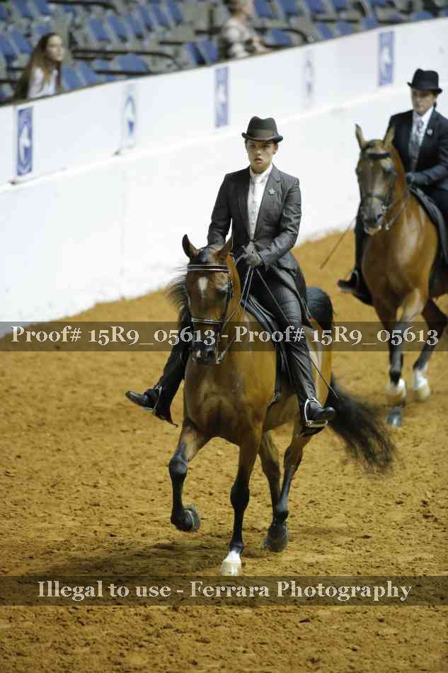 Proof 15R9_05613