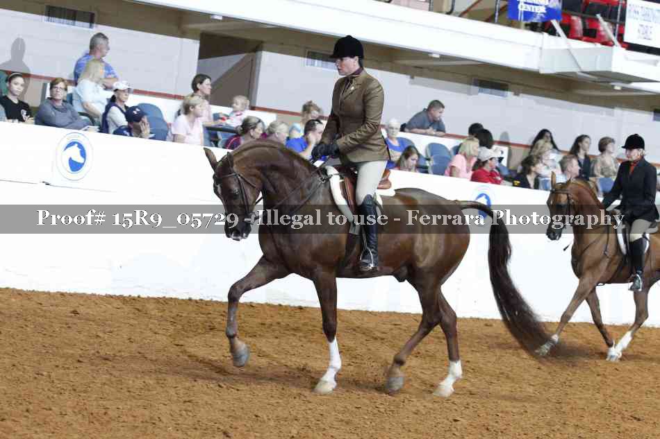 Proof 15R9_05729