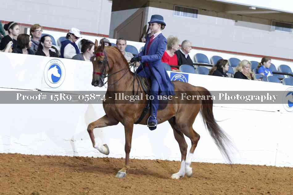Proof 15R9_05874