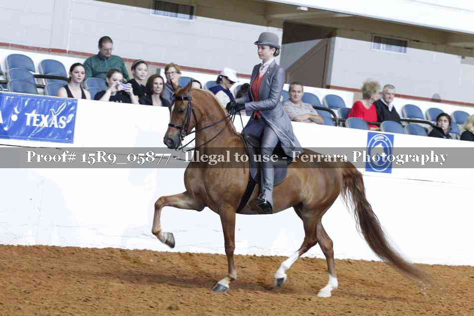 Proof 15R9_05877