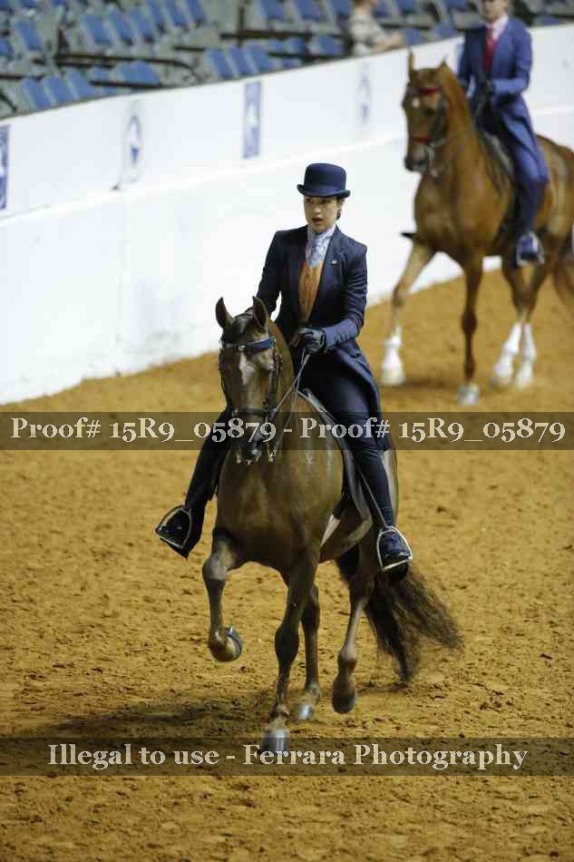 Proof 15R9_05879