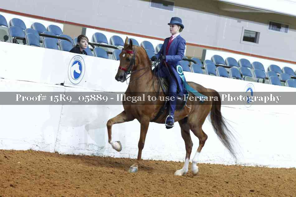Proof 15R9_05889