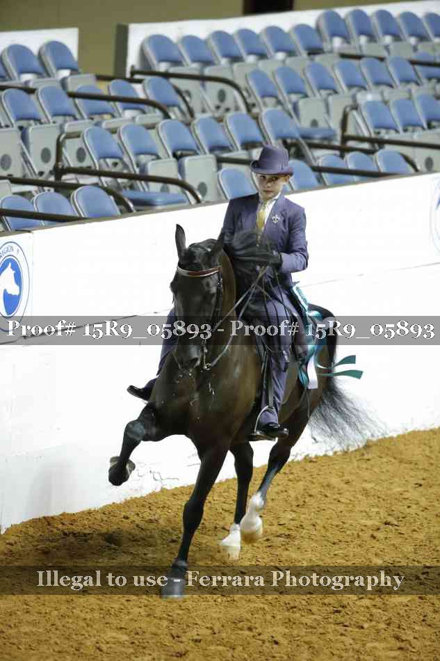 Proof 15R9_05893