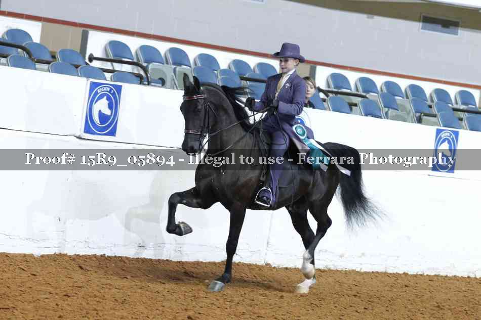 Proof 15R9_05894