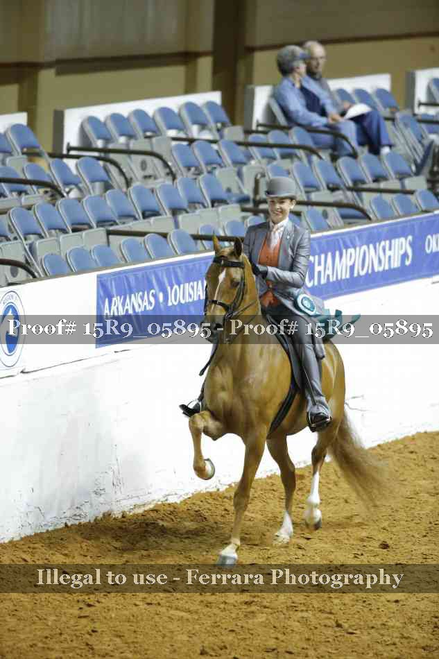 Proof 15R9_05895