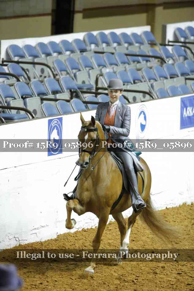 Proof 15R9_05896