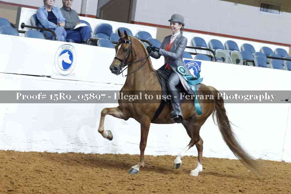 Proof 15R9_05897