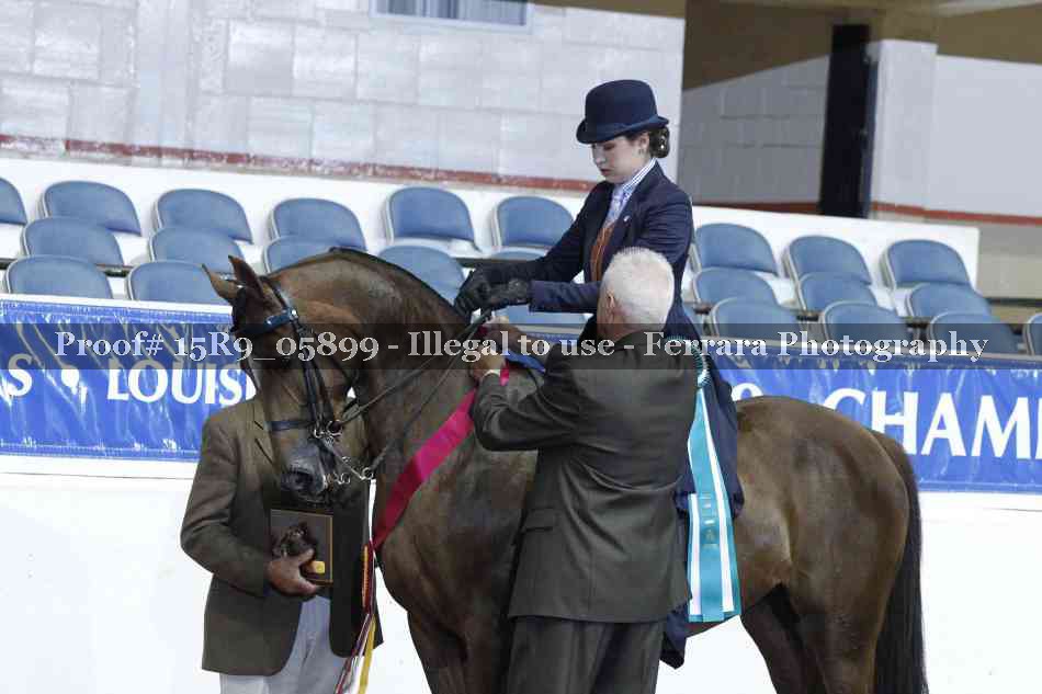 Proof 15R9_05899