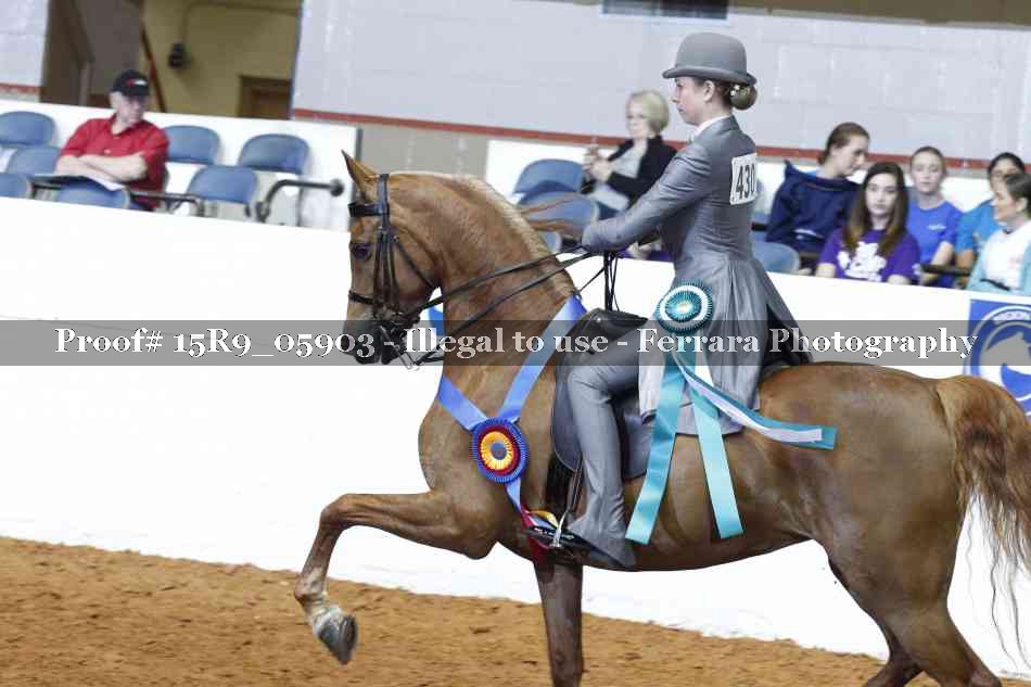 Proof 15R9_05903