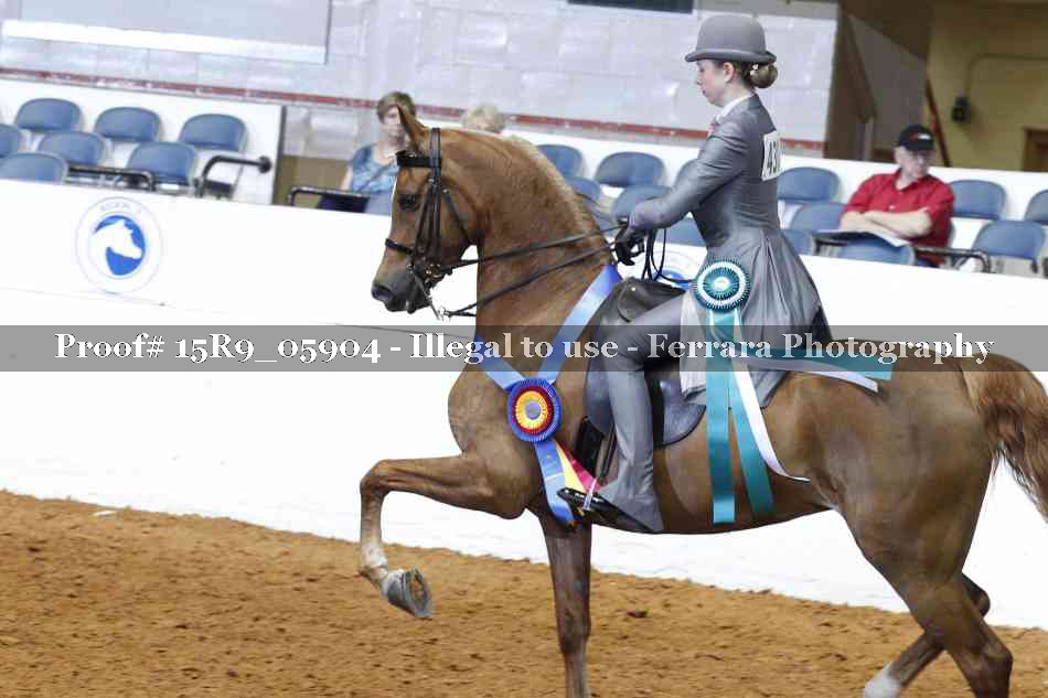 Proof 15R9_05904