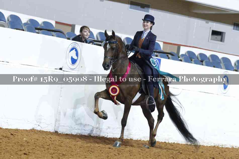 Proof 15R9_05908