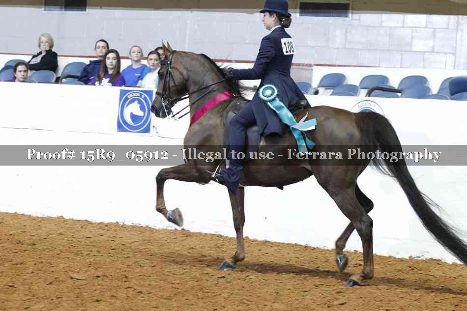 Proof 15R9_05912