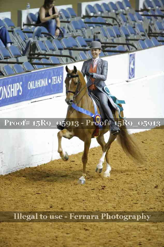 Proof 15R9_05913