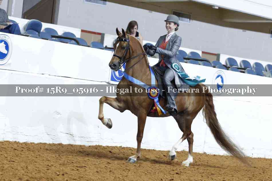 Proof 15R9_05916