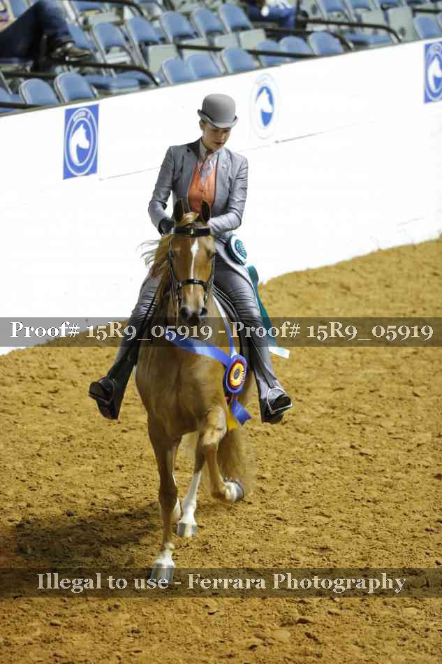 Proof 15R9_05919