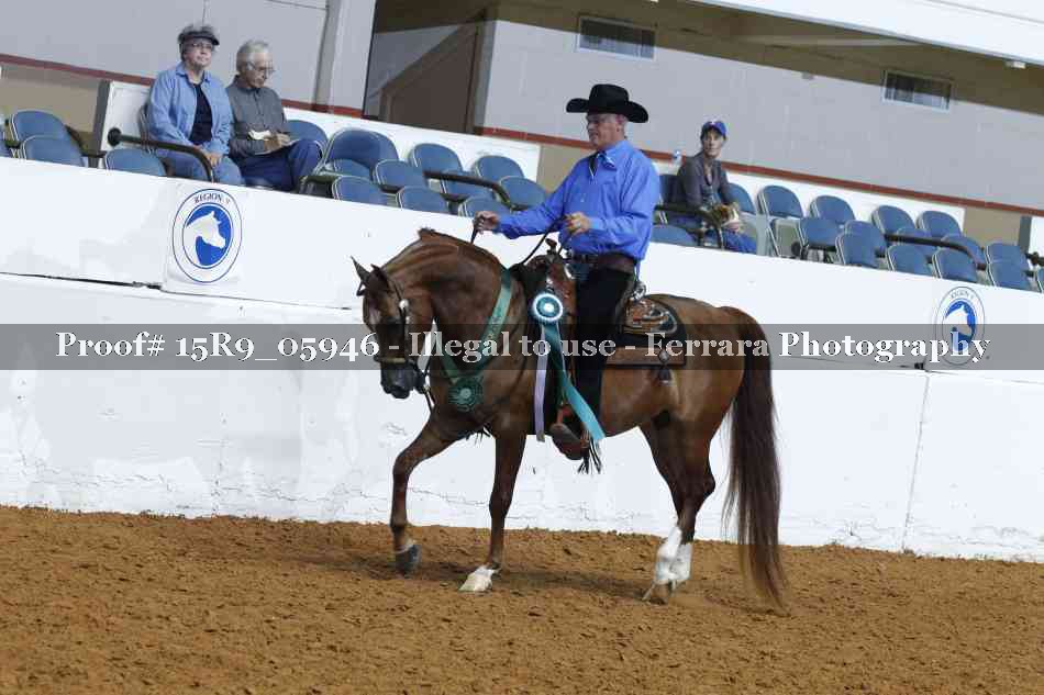 Proof 15R9_05946