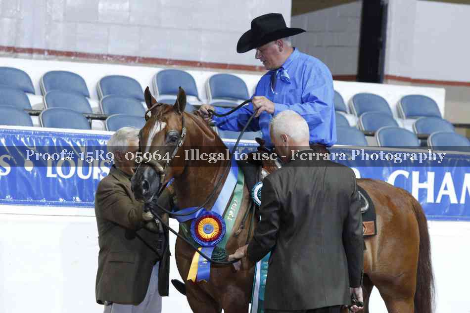 Proof 15R9_05964