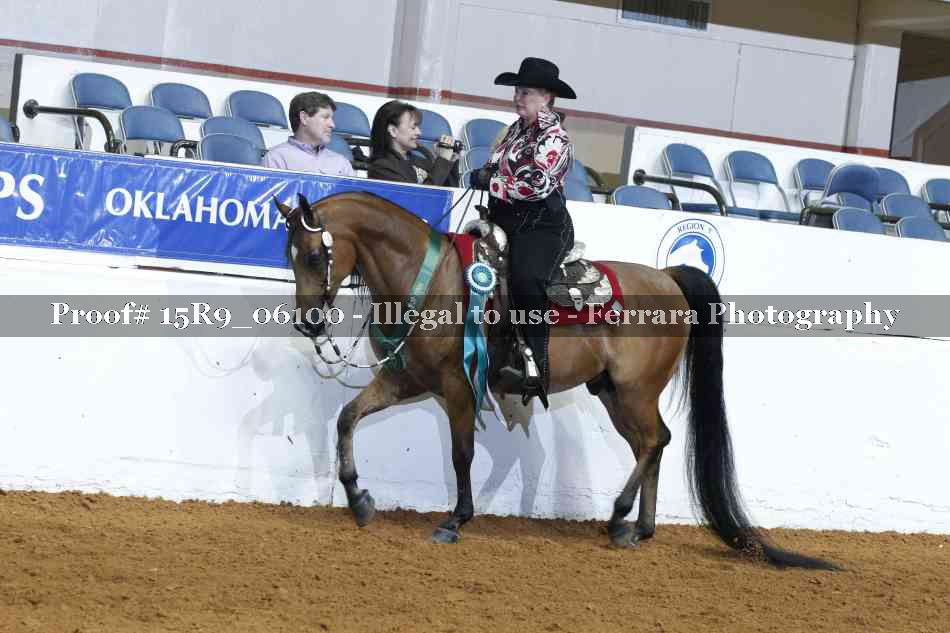 Proof 15R9_06100
