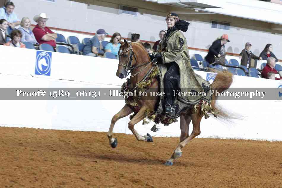 Proof 15R9_06131