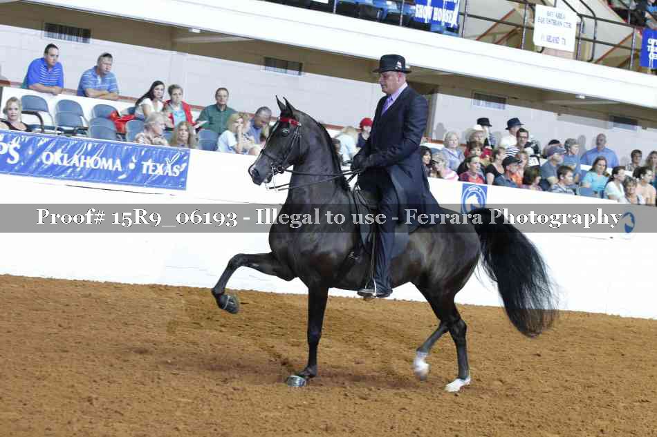 Proof 15R9_06193