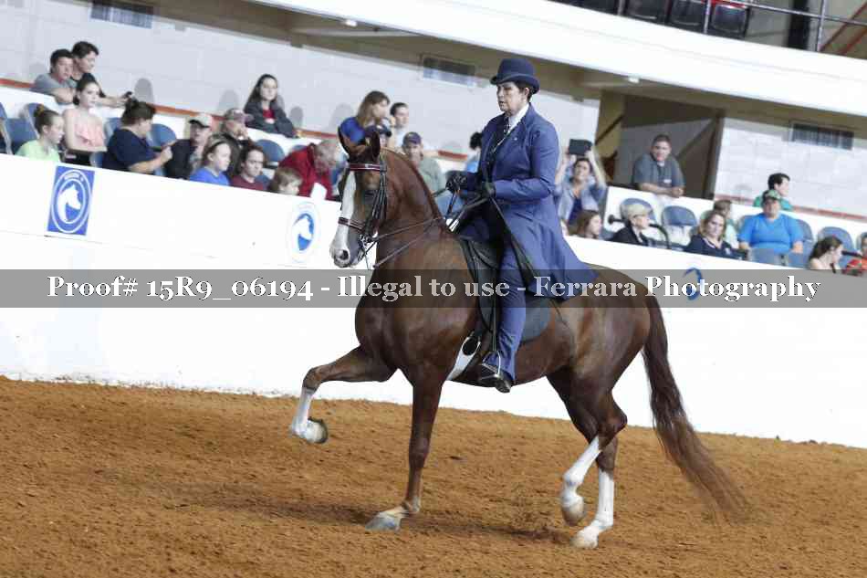 Proof 15R9_06194