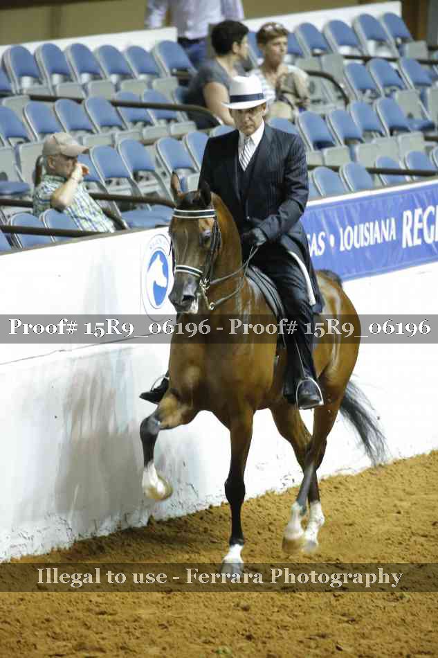 Proof 15R9_06196