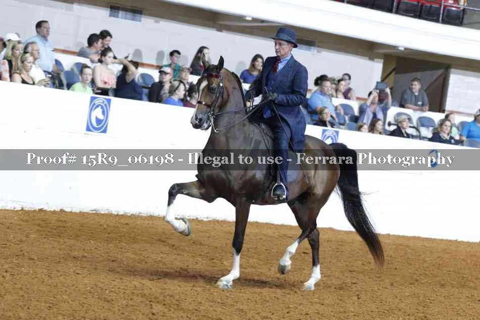 Proof 15R9_06198