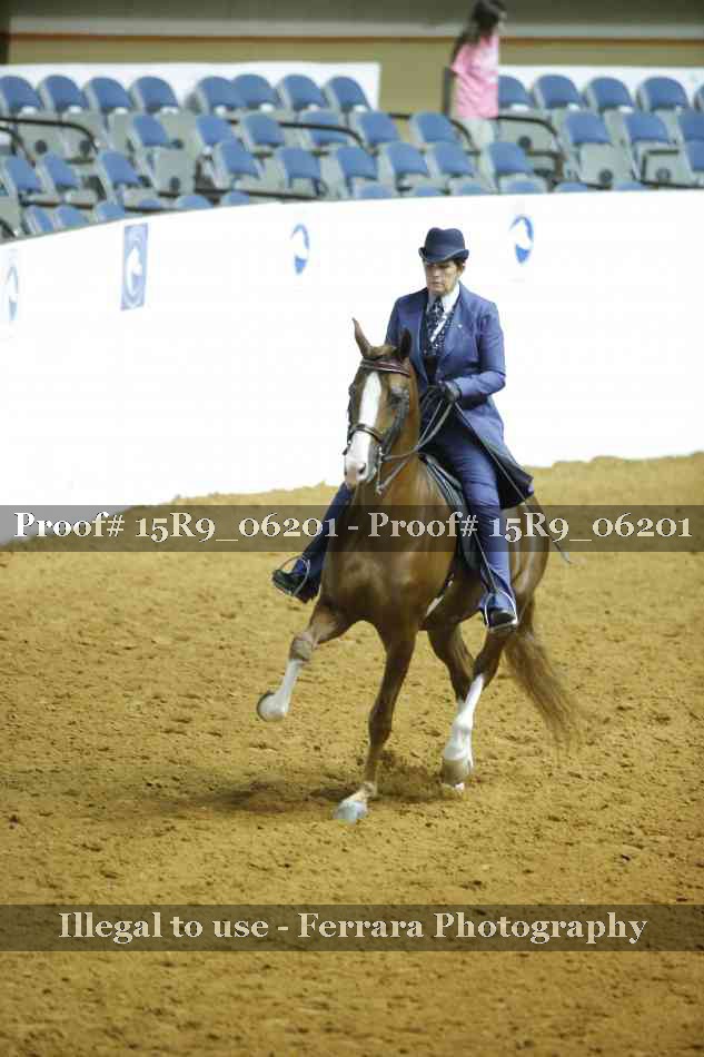 Proof 15R9_06201