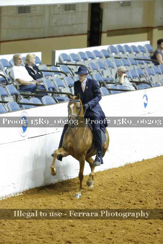 Proof 15R9_06203