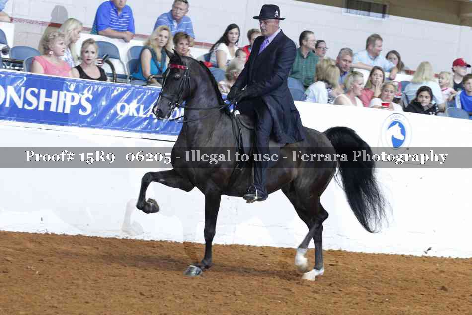 Proof 15R9_06205