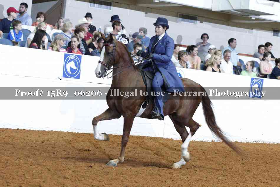 Proof 15R9_06206