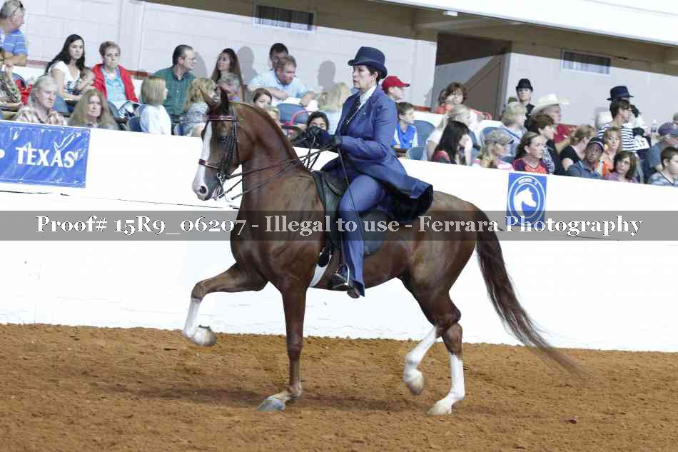 Proof 15R9_06207