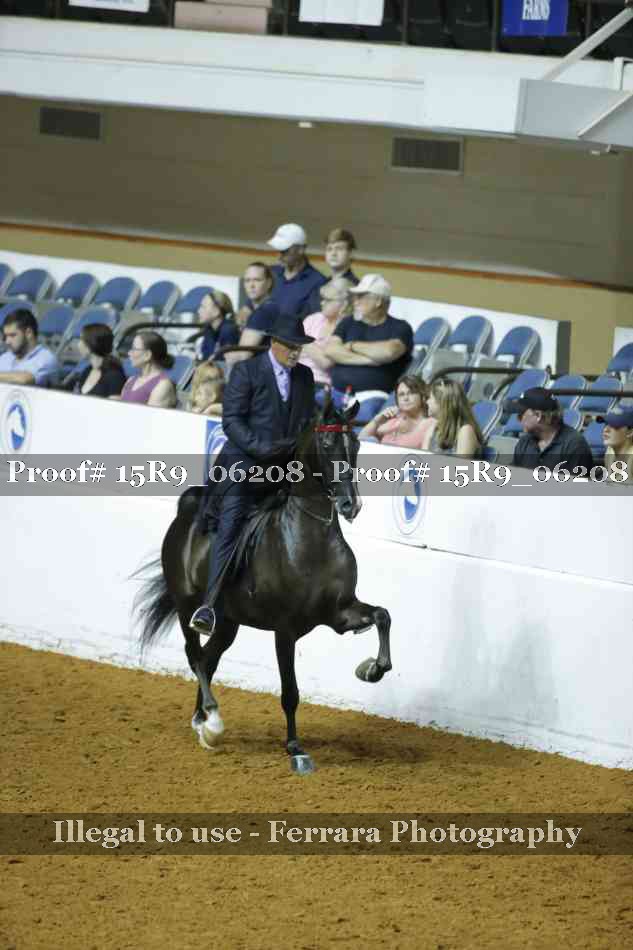 Proof 15R9_06208