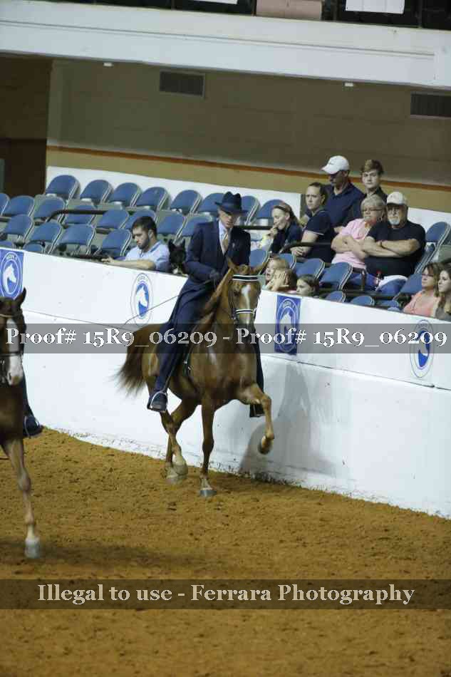 Proof 15R9_06209