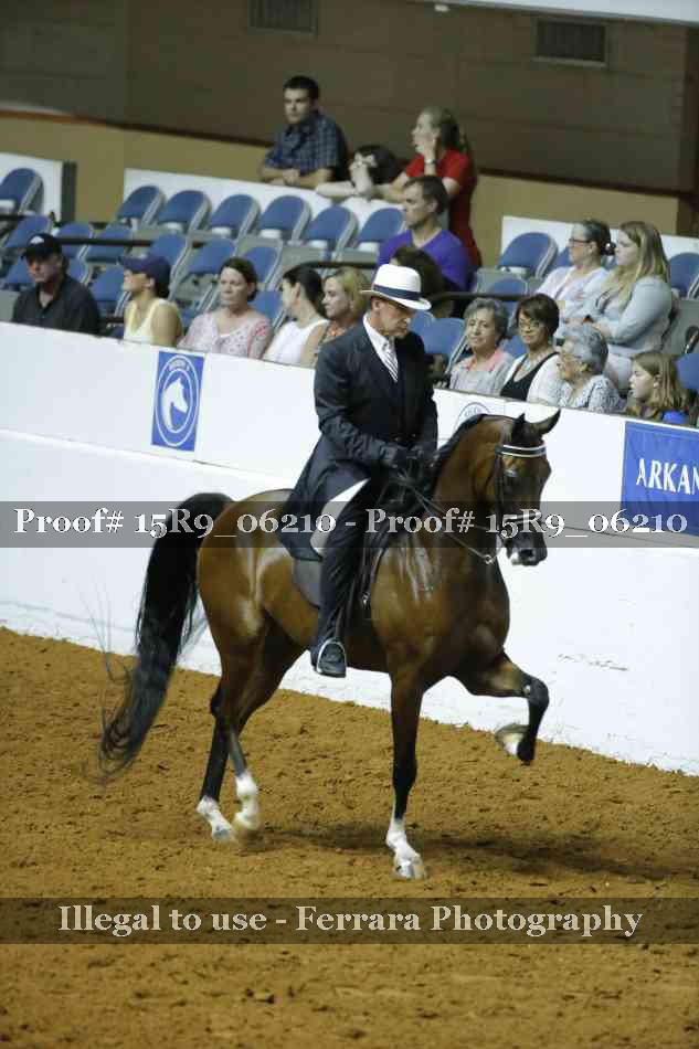 Proof 15R9_06210