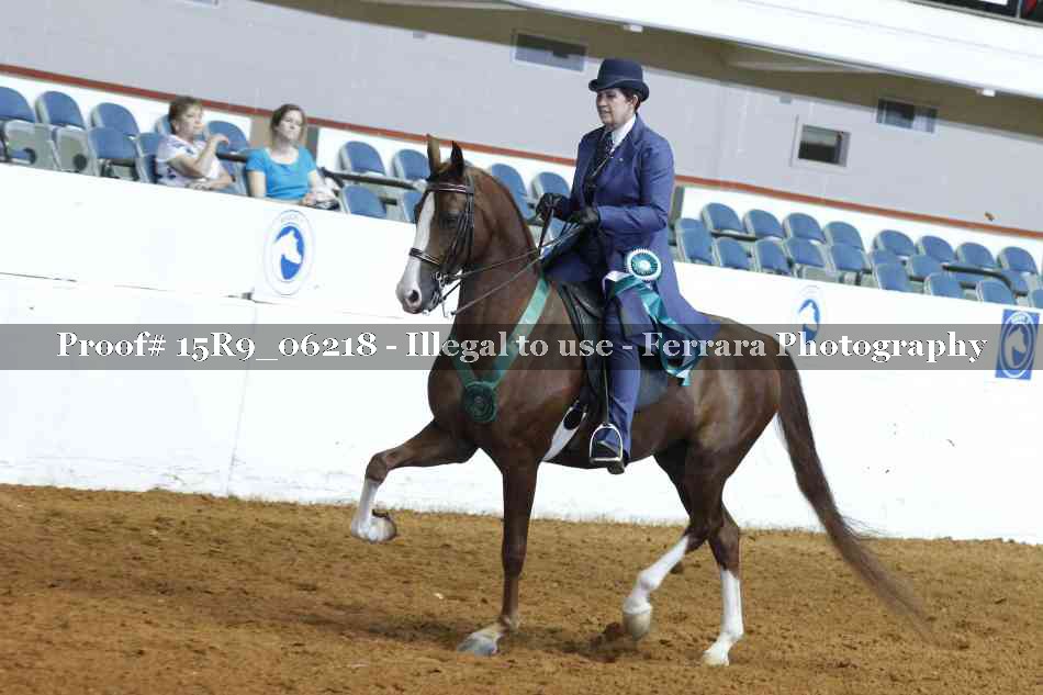 Proof 15R9_06218