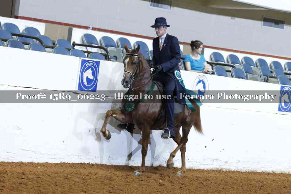 Proof 15R9_06223