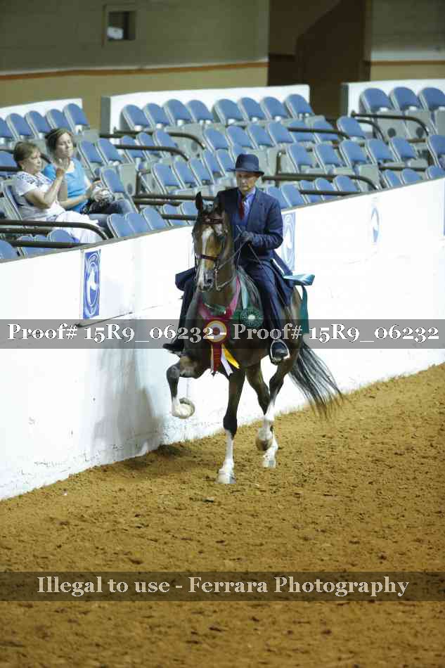 Proof 15R9_06232