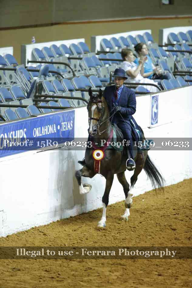 Proof 15R9_06233