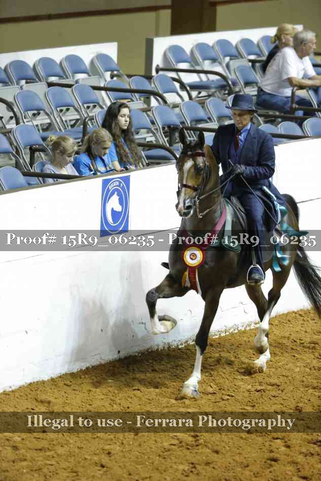 Proof 15R9_06235