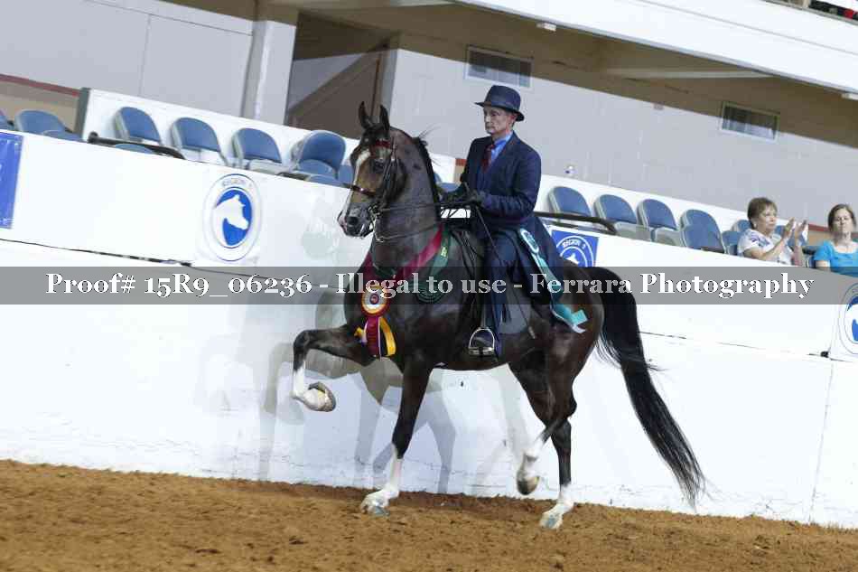 Proof 15R9_06236