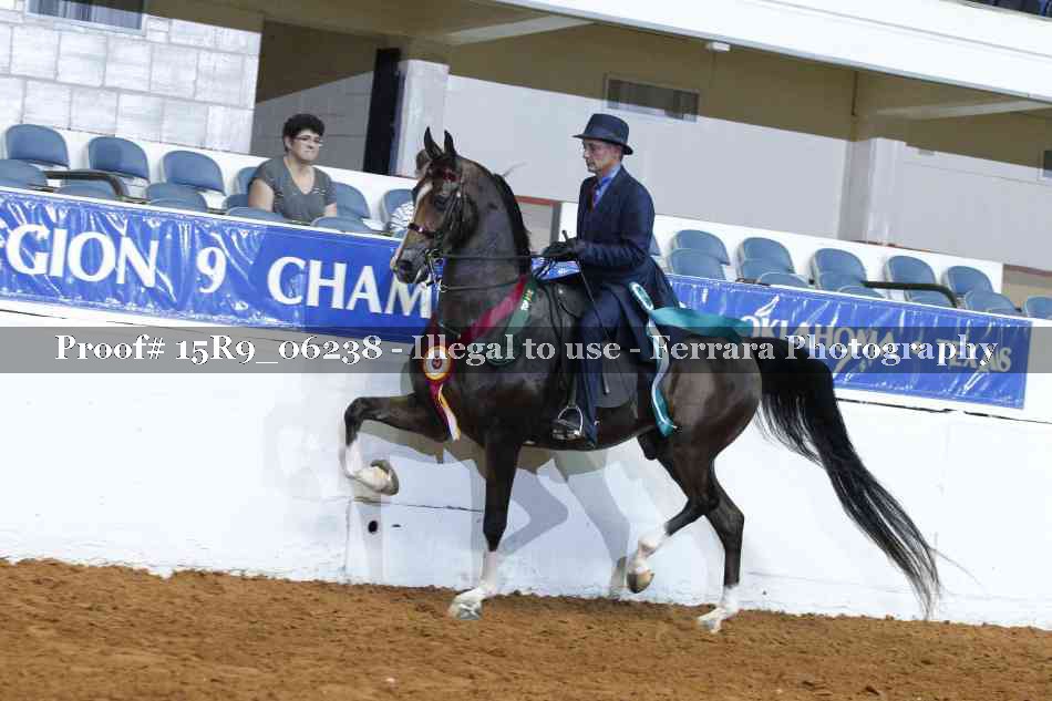 Proof 15R9_06238