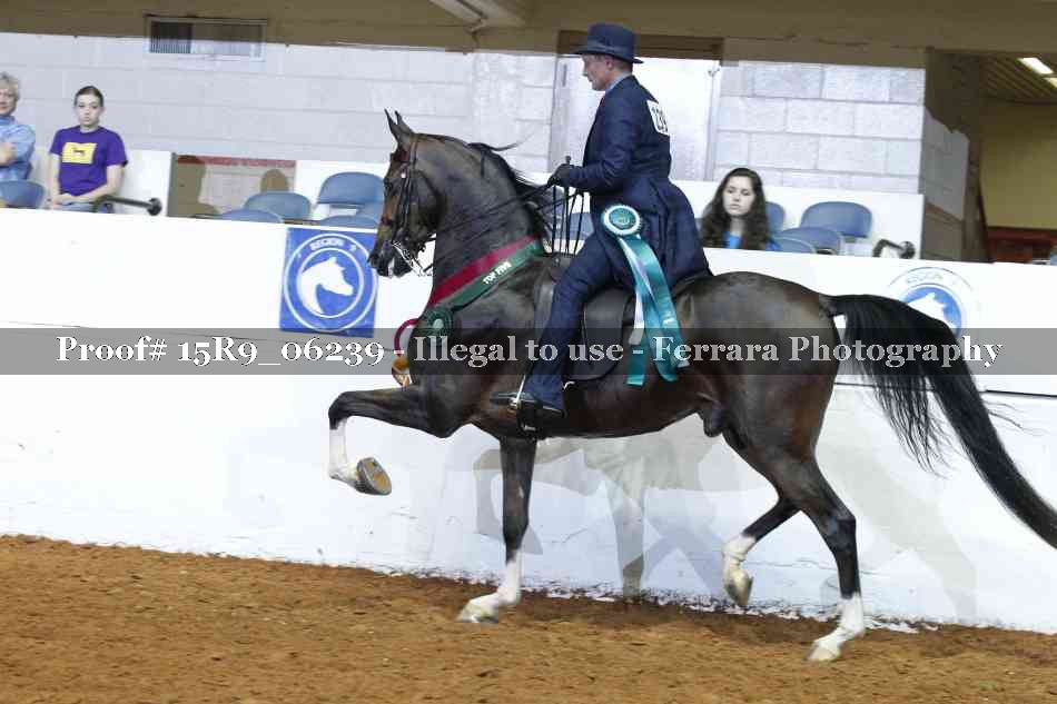 Proof 15R9_06239