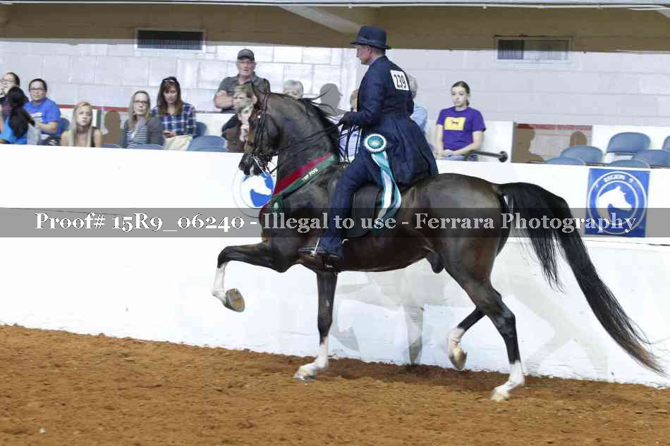 Proof 15R9_06240